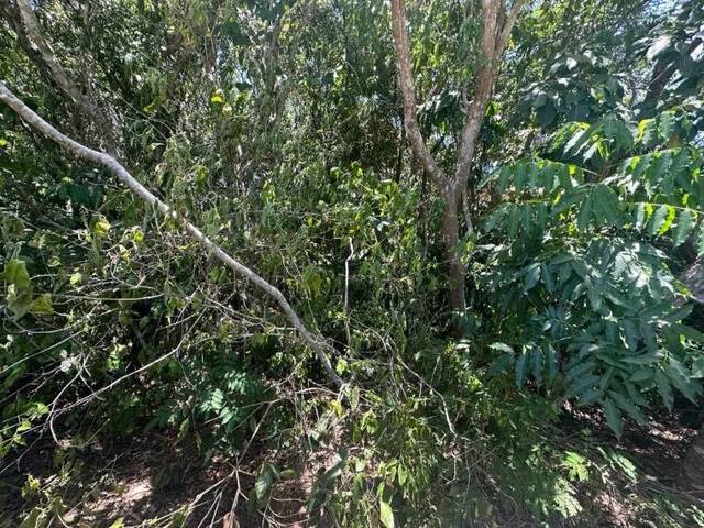 Área para Venda em Armação dos Búzios - 4
