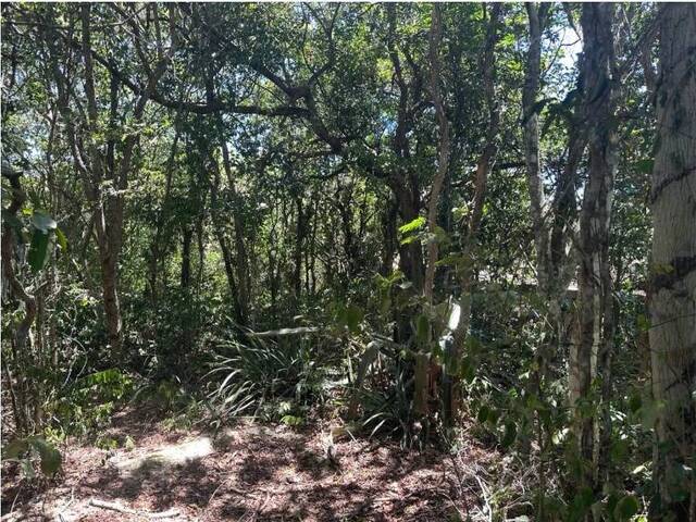 #283 - Área para Venda em Armação dos Búzios - RJ - 3