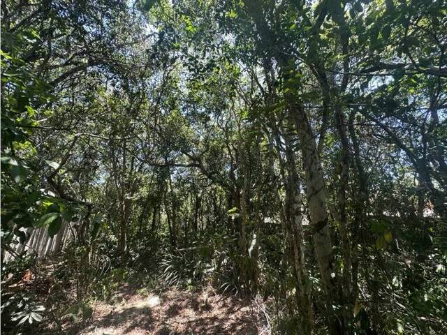 Área para Venda em Armação dos Búzios - 5
